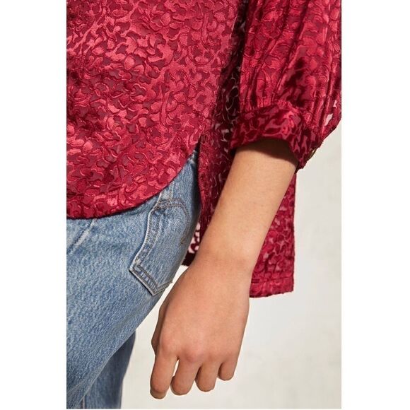 NEW Anthropologie Susanna Velvet Burnout Semi-Sheer Buttondown Blouse X-Small - Picture 2 of 3